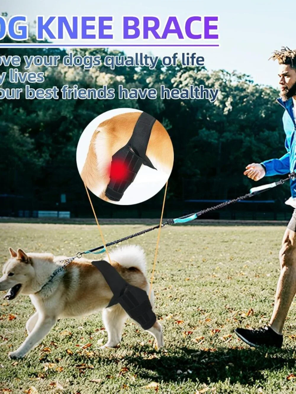 Dog Knee Brace for Torn ACL Hind Leg, Dual-Leg CCL Support with Vest Harness